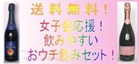 女子会3本バナー